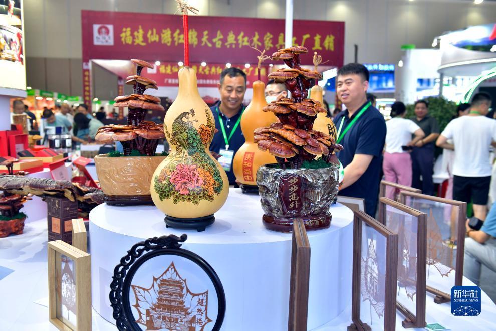 彩金白菜网大全